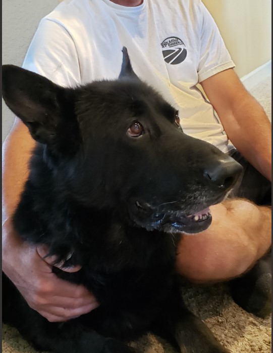 Zeus